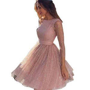 A round-necked long-sleeved perspective dress